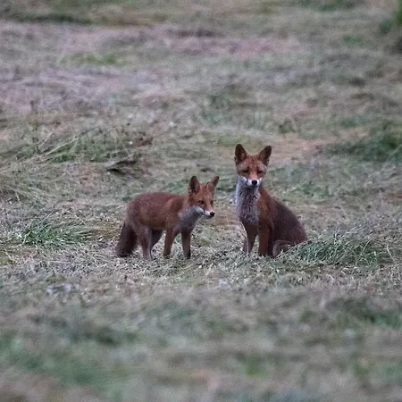 بيت للعطل Le Lansquenet
