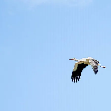 Le Lansquenet 度假居 *