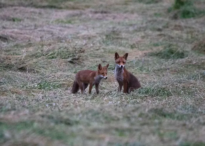 Prázdninový dům Le Lansquenet
