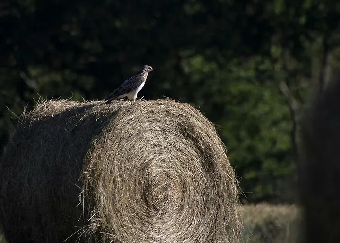 Le Lansquenet Prázdninový dům Rorbach-les-Dieuze